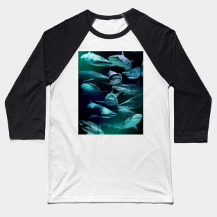 Sharks Baseball T-Shirt